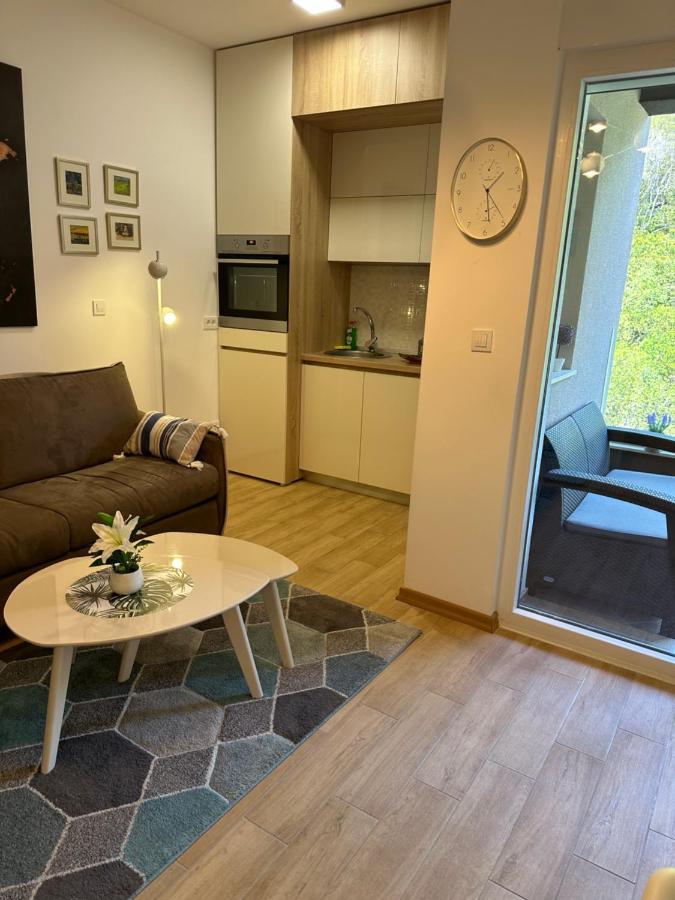 Lueks Stuedyo Apartment Budva